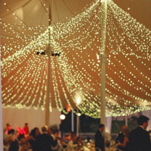 Fairy Lights