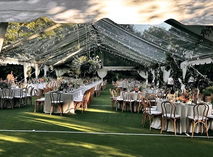 wedding chair rental guide